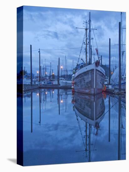 Boats in Harbor at Twilight, Southeast Alaska, USA-Nancy Rotenberg-Premier Image Canvas