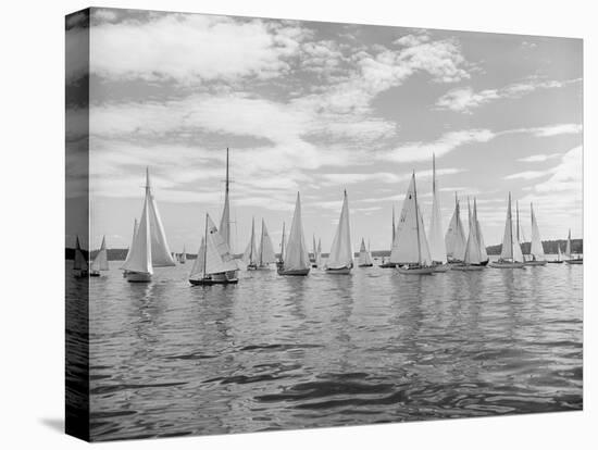 Boats Lined up for a Race on Lake Washington-Ray Krantz-Premier Image Canvas