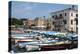 Boats Moored in the Harbour at Bardolino, Lake Garda, Italian Lakes, Lombardy, Italy, Europe-James Emmerson-Premier Image Canvas