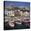 Boats Moored in the Marina Grande, Capri, Campania, Italy, Europe-Roy Rainford-Premier Image Canvas