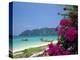 Boats Moored off Beach of Phi Phi Don Island, off Phuket, Thailand-Ruth Tomlinson-Premier Image Canvas