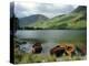 Boats on the Lake, Buttermere, Lake District National Park, Cumbria, England, UK-Roy Rainford-Premier Image Canvas