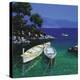 Boats-Steve Thoms-Stretched Canvas