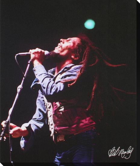 Bob Marley Live In Concert Gallery Wrapped Canvas Art Com