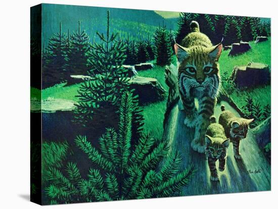 Bobcat and Kittens-Stan Galli-Premier Image Canvas