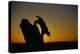 Bobcat Silhouette at Sunrise-W. Perry Conway-Premier Image Canvas