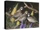 Bobwhite Trio 1-Trevor V. Swanson-Premier Image Canvas