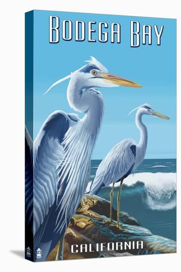 Bodega Bay, California - Blue Heron-Lantern Press-Stretched Canvas