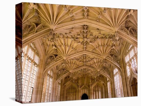 Bodleian Library Interior, Oxford University, Oxford, Oxfordshire, England, United Kingdom, Europe-Ben Pipe-Premier Image Canvas