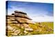 Bodmin Moor, Cornwall, England, United Kingdom, Europe-Kav Dadfar-Premier Image Canvas