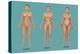 Body Types-Gwen Shockey-Premier Image Canvas