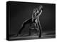 Bodyscape-Anton Belovodchenko-Premier Image Canvas