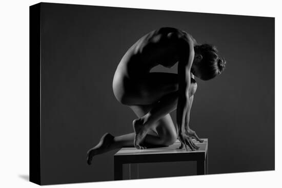 Bodyscape-Anton Belovodchenko-Premier Image Canvas