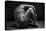 bodyscape-Anton Belovodchenko-Premier Image Canvas