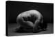 Bodyscape-Anton Belovodchenko-Premier Image Canvas