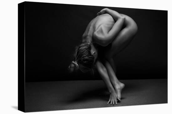 Bodyscape-Anton Belovodchenko-Premier Image Canvas