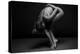 Bodyscape-Anton Belovodchenko-Premier Image Canvas