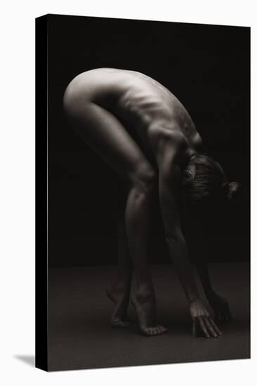 Bodyscape-Anton Belovodchenko-Premier Image Canvas