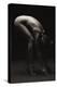 Bodyscape-Anton Belovodchenko-Premier Image Canvas