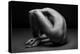 Bodyscape-Anton Belovodchenko-Premier Image Canvas