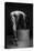 Bodyscape-Anton Belovodchenko-Premier Image Canvas