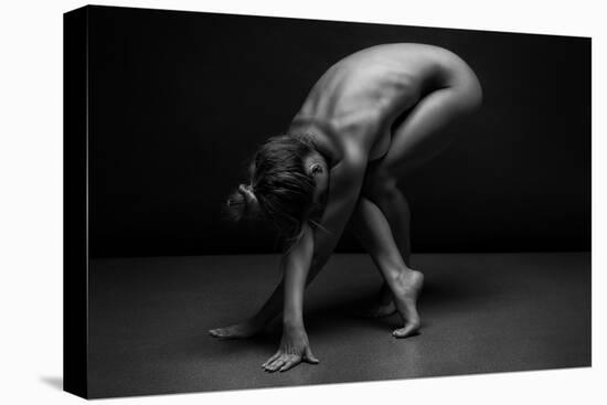 Bodyscape-Anton Belovodchenko-Premier Image Canvas