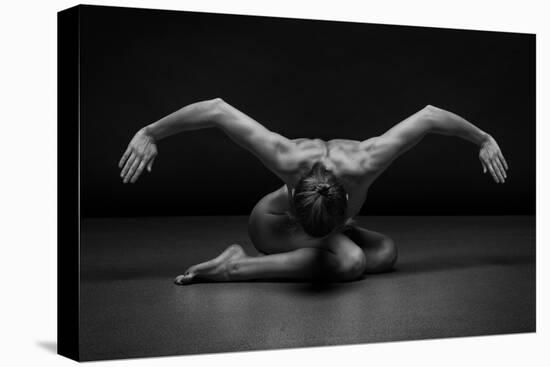 Bodyscape-Anton Belovodchenko-Premier Image Canvas