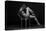 Bodyscape-Anton Belovodchenko-Premier Image Canvas