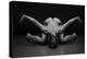 Bodyscape-Anton Belovodchenko-Premier Image Canvas