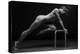 Bodyscape-Anton Belovodchenko-Premier Image Canvas