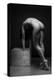 Bodyscape-Anton Belovodchenko-Premier Image Canvas