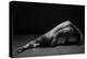 Bodyscape-Anton Belovodchenko-Premier Image Canvas