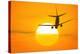 Boeing 737 Ascending At Sunset, Artwork-Detlev Van Ravenswaay-Premier Image Canvas