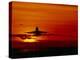 Boeing 747-David Nunuk-Premier Image Canvas