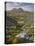 Bog Wetlands with Suilven Mountain at Dawn, Assynt Mountains, Highland, Scotland, UK, June-Joe Cornish-Premier Image Canvas