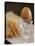 Boiled Egg and Soldiers (Strips of Toast, England)-Jean Cazals-Premier Image Canvas