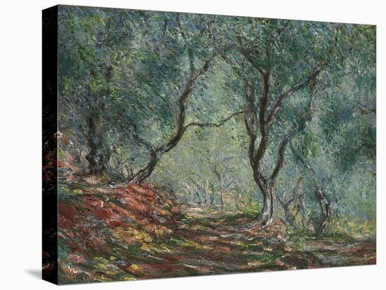 Bois D'Oliviers Au Jardin Moreno, 1884-Claude Monet-Premier Image Canvas
