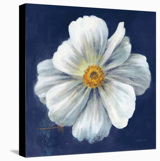 Boldest Bloom I Dark Blue-Danhui Nai-Stretched Canvas