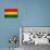 Bolivia Flag Design with Wood Patterning - Flags of the World Series-Philippe Hugonnard-Stretched Canvas displayed on a wall