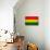 Bolivia Flag Design with Wood Patterning - Flags of the World Series-Philippe Hugonnard-Stretched Canvas displayed on a wall