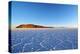 Bolivia, Potosi Department, Daniel Campos Province, Salar de Uyuni, View towards the Incahuasi Isla-Karol Kozlowski-Premier Image Canvas
