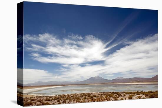 Bolivian Altiplano, Bolivia. Lake and Mountains in Coipasa, Bolivia.-Anthony Asael-Premier Image Canvas