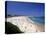 Bondi Beach, Sydney, Nsw, Australia-Neil Farrin-Premier Image Canvas