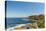 Bondi Coast, Sydney, New South Wales, Australia, Pacific-Noelia Ramon-Premier Image Canvas