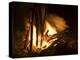 Bonfire on Beach, Punta Islita, Nicoya Pennisula, Pacific Coast, Costa Rica, Central America-R H Productions-Premier Image Canvas