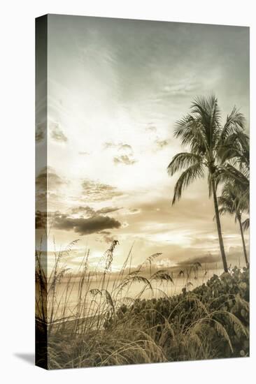 BONITA BEACH Vintage Sunset-Melanie Viola-Premier Image Canvas