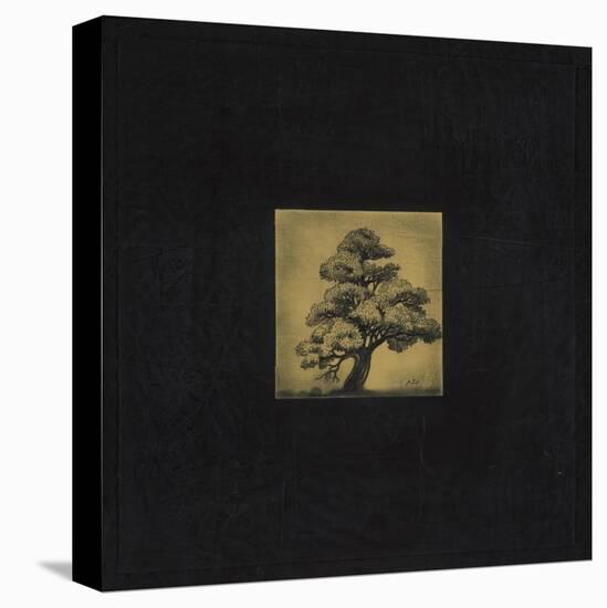 Bonsai Sacred Tree-OM-Premier Image Canvas