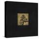 Bonsai Sacred Tree-OM-Premier Image Canvas