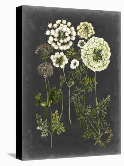 Bookplate Floral II-Naomi McCavitt-Stretched Canvas