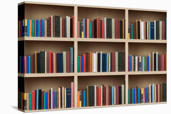 Books on a Wooden Shelfs.-donatas1205-Premier Image Canvas